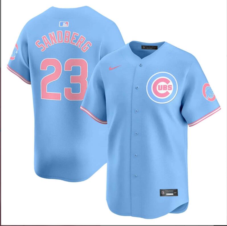 Men Chicago Cubs #23 Sandberg blue 2024 Nike MLB jersey